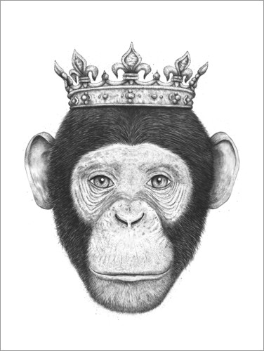 Poster Affenkönig