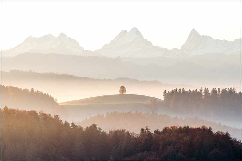 Poster Eiger, Mönch und Jungfrau an einem nebligen Morgen im Herbst