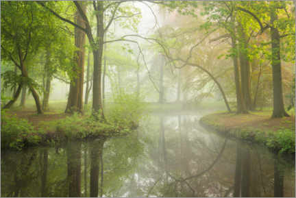 Acrylglasbild  Frühlingswald Liesbos in Holland - Jos Pannekoek