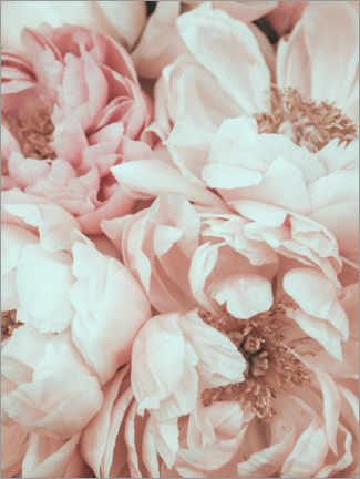 Leinwandbild  Blütenmischung - Magda Izzard