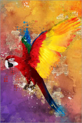Wandbild  Papagei - Durro Art