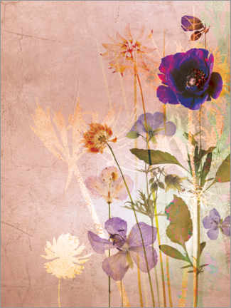 Wandbild  Zartes Herbarium III - Lara Skinner