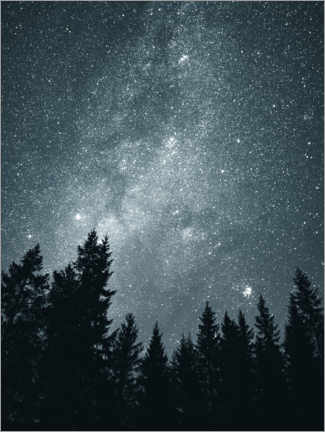 Poster Sternenhimmel über den Baumkronen