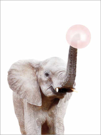 Acrylglasbild  Elefant mit Kaugummi - Sisi And Seb