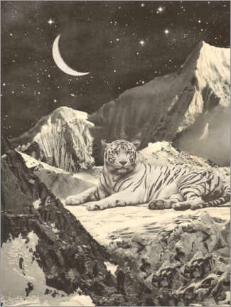 Poster Tiger in den Bergen