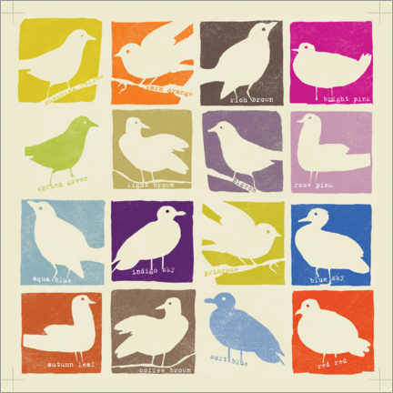 Poster Helle Vögel