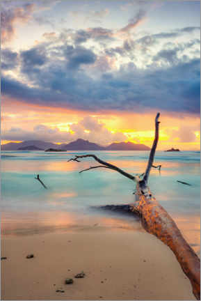 Holzbild  Farben der Seychellen - Silvio Schoisswohl