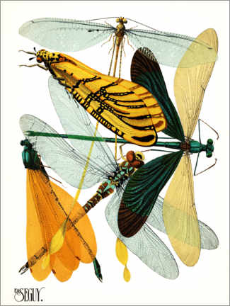 Poster Libellen