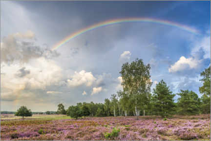 Poster Regenbogen über der Heidelandschaft