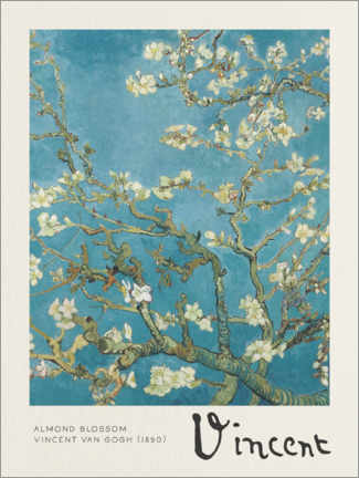 Acrylglasbild  Mandelblüte - Vincent van Gogh