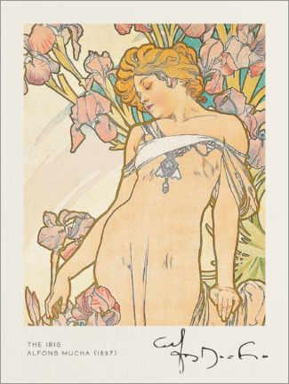 Leinwandbild  Die Iris - Alfons Mucha