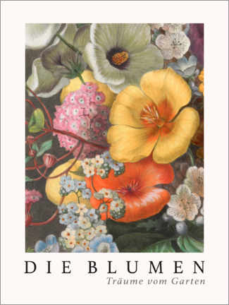 Acrylglasbild  Album Vilmorin, Die Blumen VIII - Elisa Champin