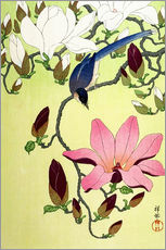 Gallery Print  Vogel mit rosa und weißen Magnolienblüten - Ohara Koson