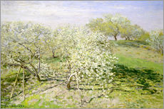 Wandsticker  Blühende Apfelbäume im Frühling - Claude Monet