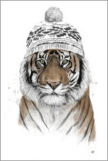 Gallery Print  Sibirischer Tiger - Balazs Solti