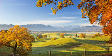 Acrylglasbild  Bayerischer Herbst mit Zugspitze im Hintergrund - Murnauer Moos - Dieter Meyrl