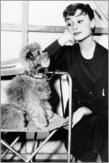 Poster Audrey Hepburn mit Hündchen