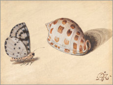 Poster Schmetterling mit Meeresfrüchten