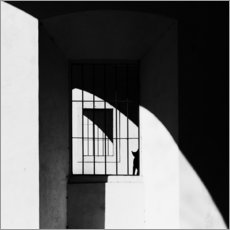 Holzbild  Die schwarze Katze - Massimo Della Latta