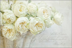 Gallery Print  white roses - Lizzy Pe