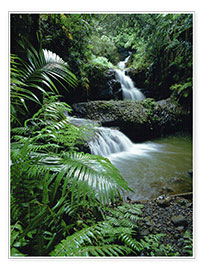 Poster Wasserfall auf Hawaii
