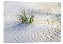 Acrylglasbild  Dünengräser im Sand - Jürgen Klust