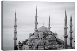 Leinwandbild  the blue mosque in Istanbul / Turkey - gn fotografie
