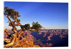 Acrylglasbild  Grand Canyon in Arizona - Paul Thompson
