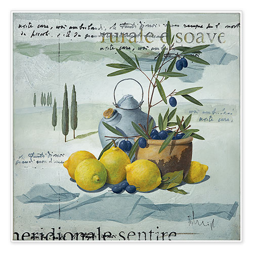 Poster Südliche Oliven