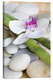 Leinwandbild  Bambus und Orchidee II - Andrea Haase Foto