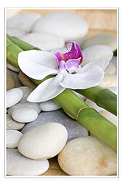 Wandbild  Bambus und Orchidee II - Andrea Haase Foto