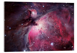 Acrylglasbild  Orion-Nebel - Robert Gendler
