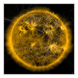 Poster Magnetfeldlinien auf der Sonne