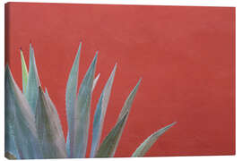Leinwandbild  Agave vor roter Wand - Don Paulson