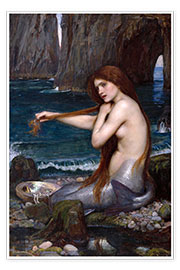 Wandbild  Die Meerjungfrau - John William Waterhouse