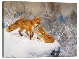 Leinwandbild  Zwei Füchse in einer Winterlandschaft - Bruno Andreas Liljefors