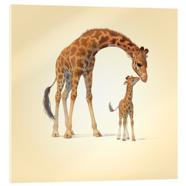 Acrylglasbild  Giraffe und Kälbchen - John Butler