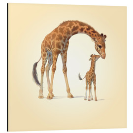 Alubild  Giraffe und Kälbchen - John Butler
