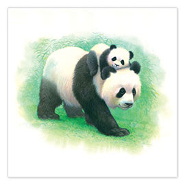 Poster  Panda und Pandababy - John Butler