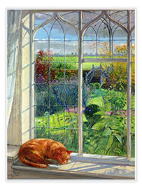 Poster Katze im Fenster, Sommer