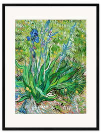 Gerahmter Kunstdruck  Iris - Vincent van Gogh