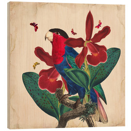 Holzbild  Oh My Parrot VII - Mandy Reinmuth