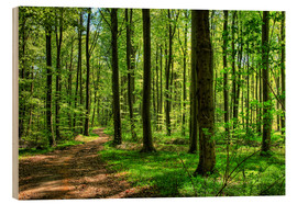 Holzbild  Frühlingsduft im Wald