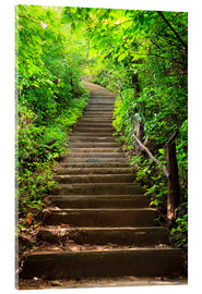 Acrylglasbild  Treppe zum Wald