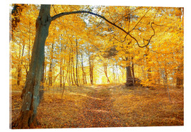 Acrylglasbild  goldener Herbstwald