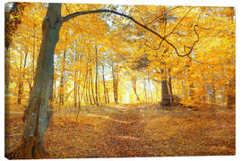 Leinwandbild  goldener Herbstwald