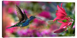 Leinwandbild  Kolibri mit Lilien