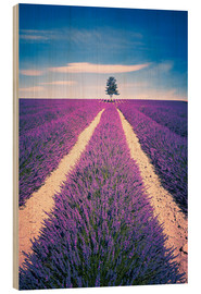 Holzbild  Lavendelfeld mit Baum in der Provence, Frankreich