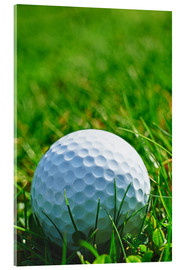 Acrylglasbild  Golfball im Gras