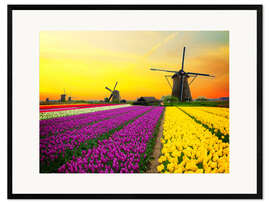 Gerahmter Kunstdruck  Holländische Windmühlen und Tulpenfelder